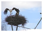 zum Vergrößern bitte anklicken